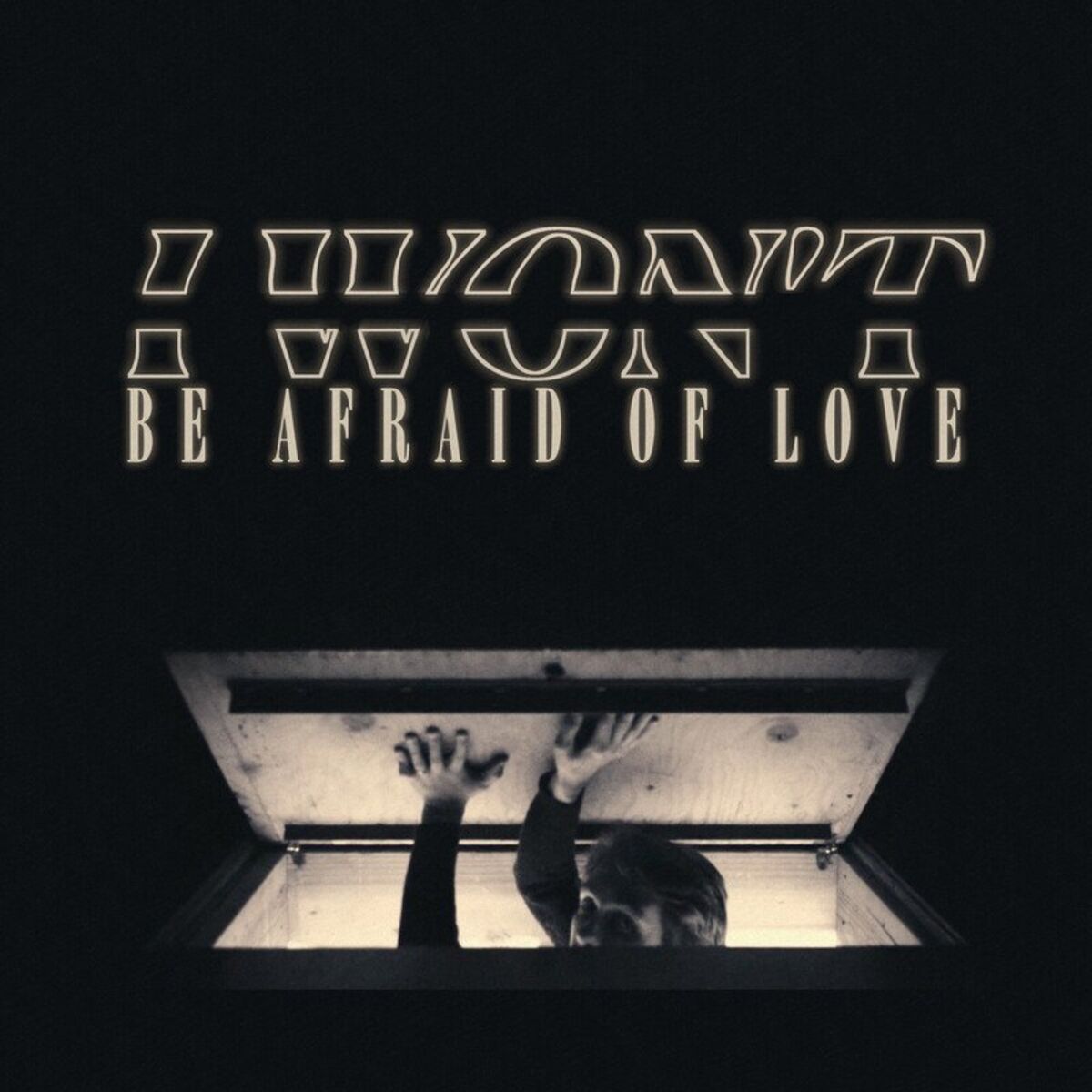 Album cover of I Won't Be Afraid of Love