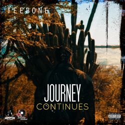 Cover of Journey Continues