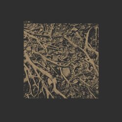 Cover of Como un trueno que desborda