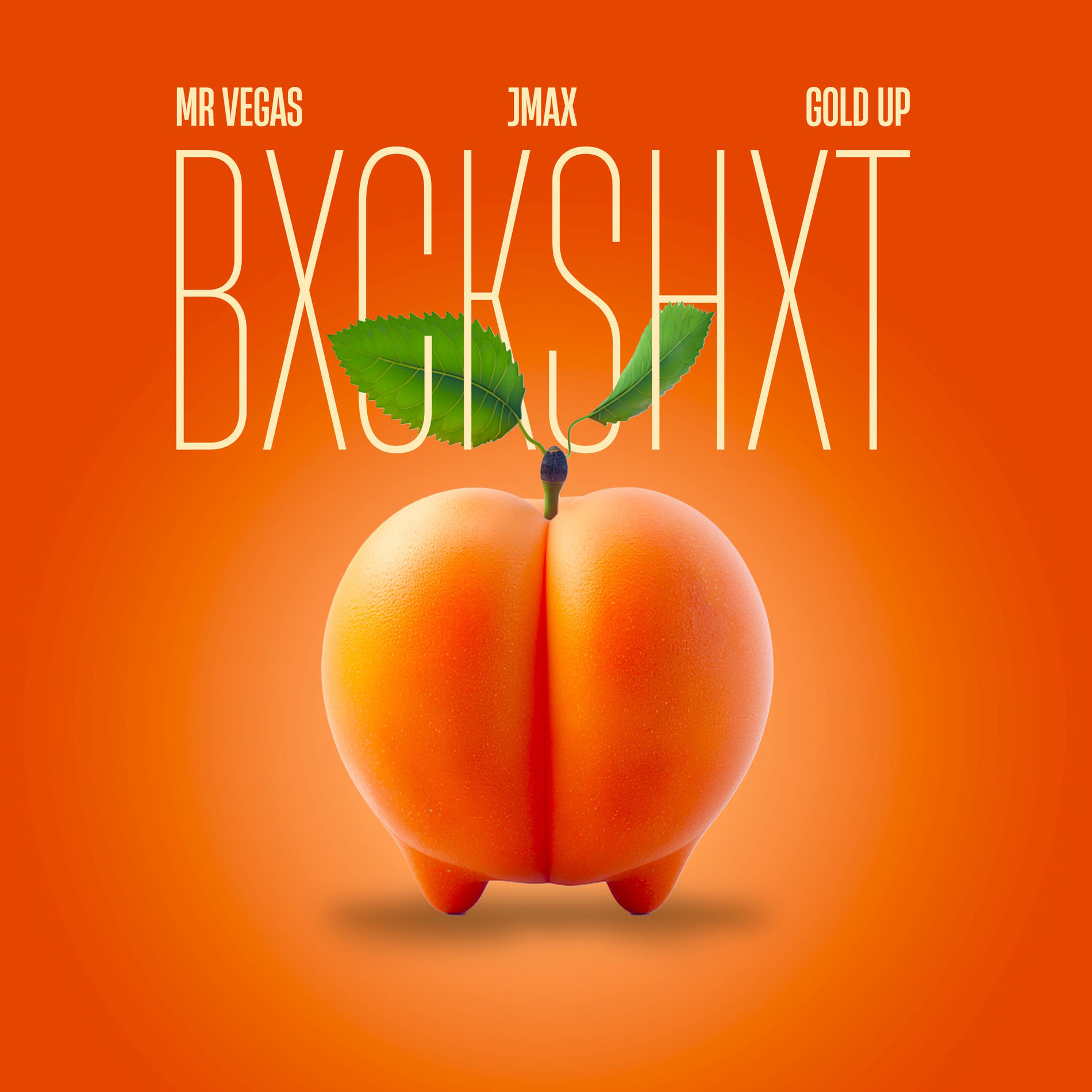 Album cover of BXCKSHXT