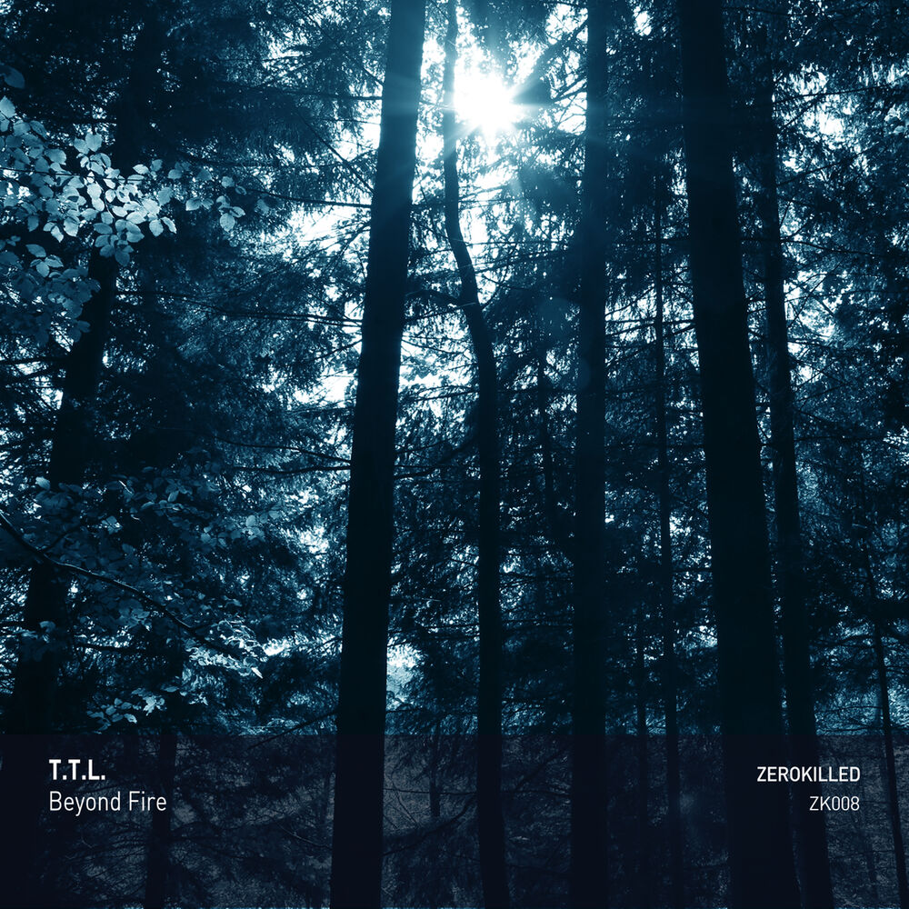 Picture of Beyond Fire