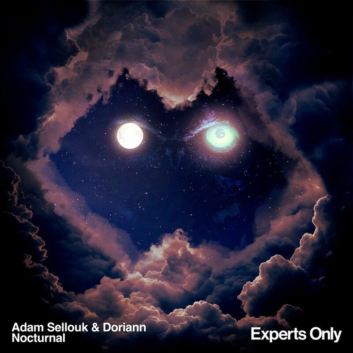 Album cover of Nocturnal