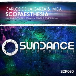Cover of Scopaesthesia