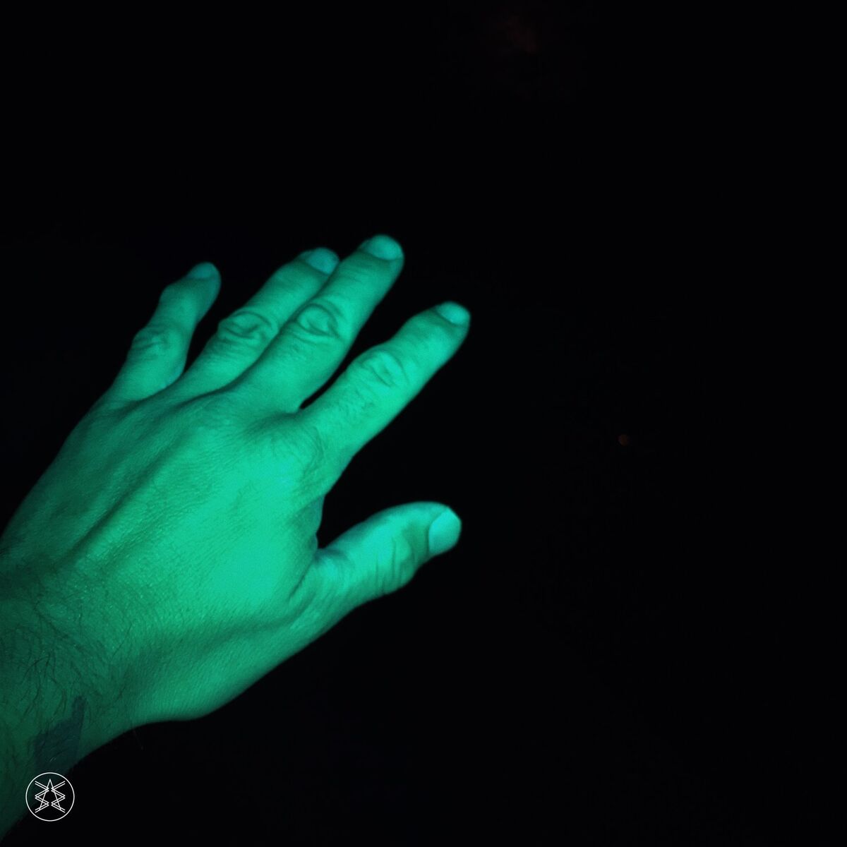 Album cover of En La Noche