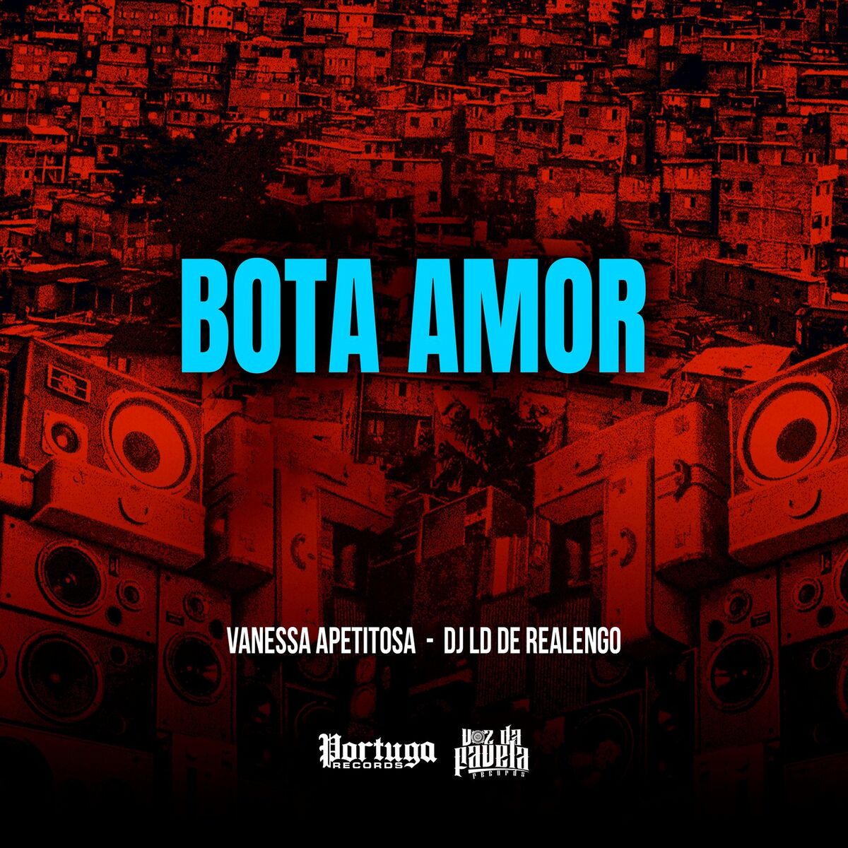 Album cover of Bota Amor