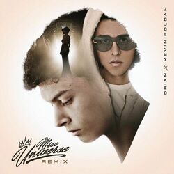 Cover of Miss Universe (Remix)