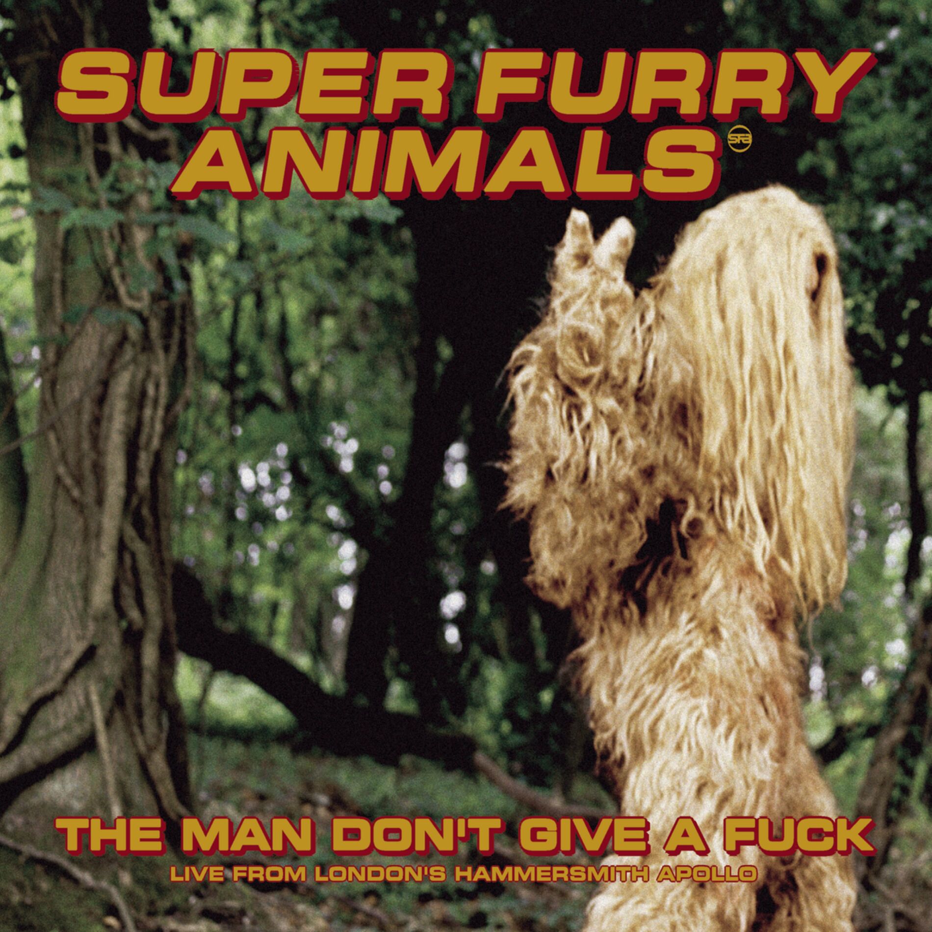 Album cover of The Man Don't Give a Fuck (Live at Hammersmith Apollo)