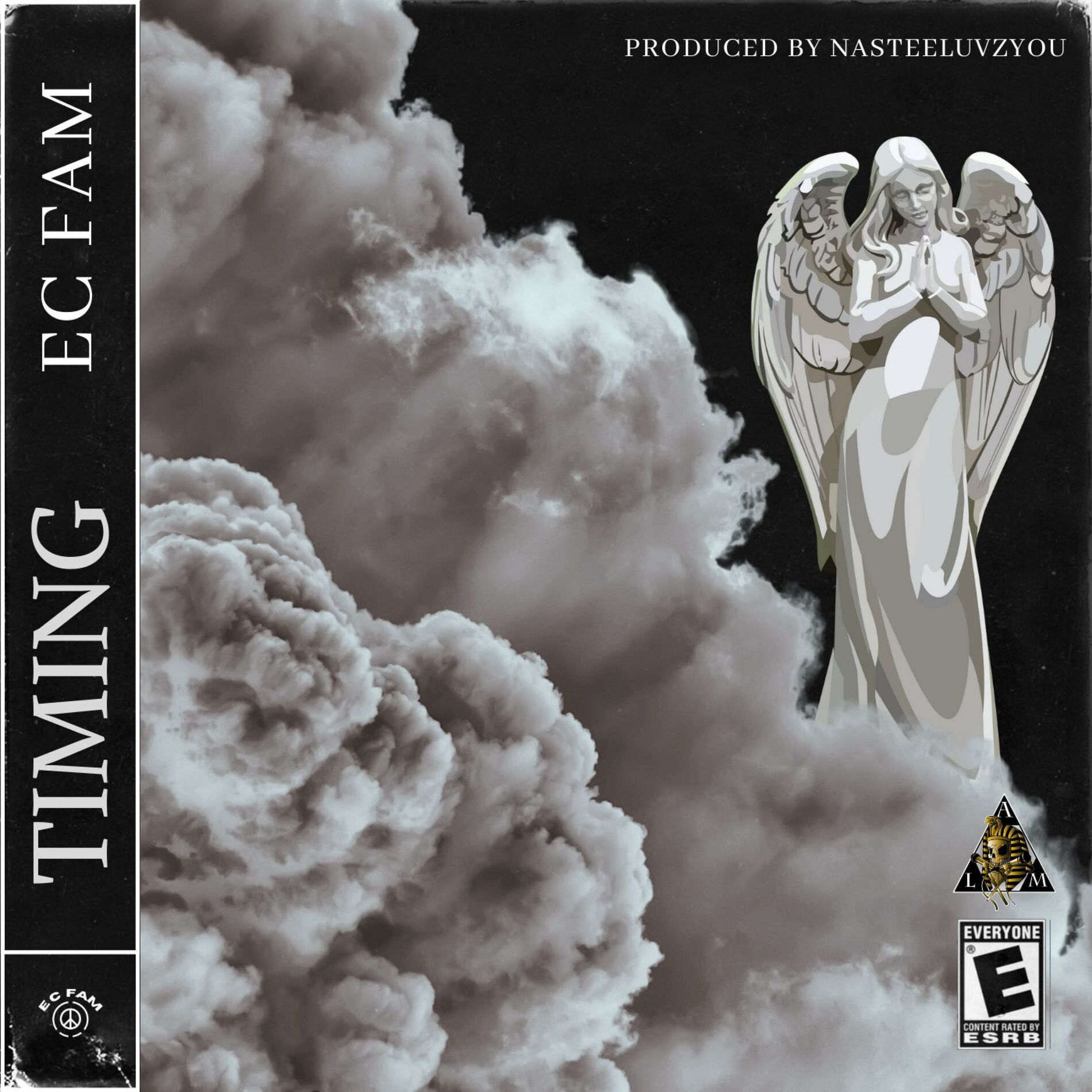 Album cover of Timing