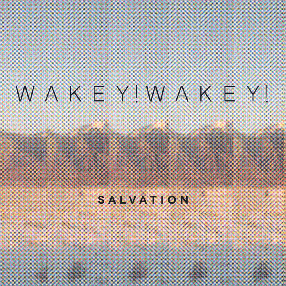 Picture of Salvation