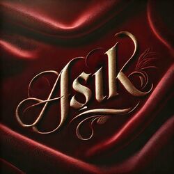 Cover of Aşık