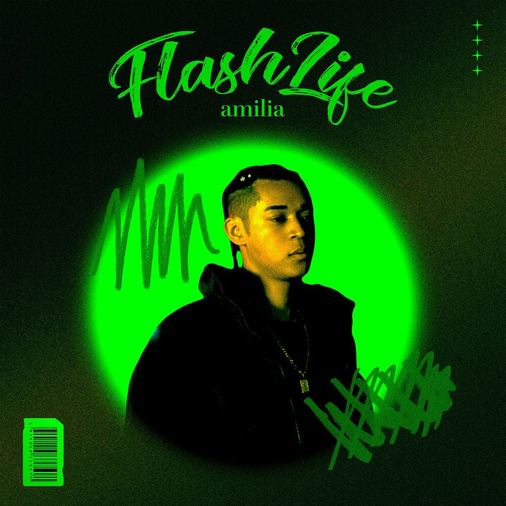 Picture of Flash Life