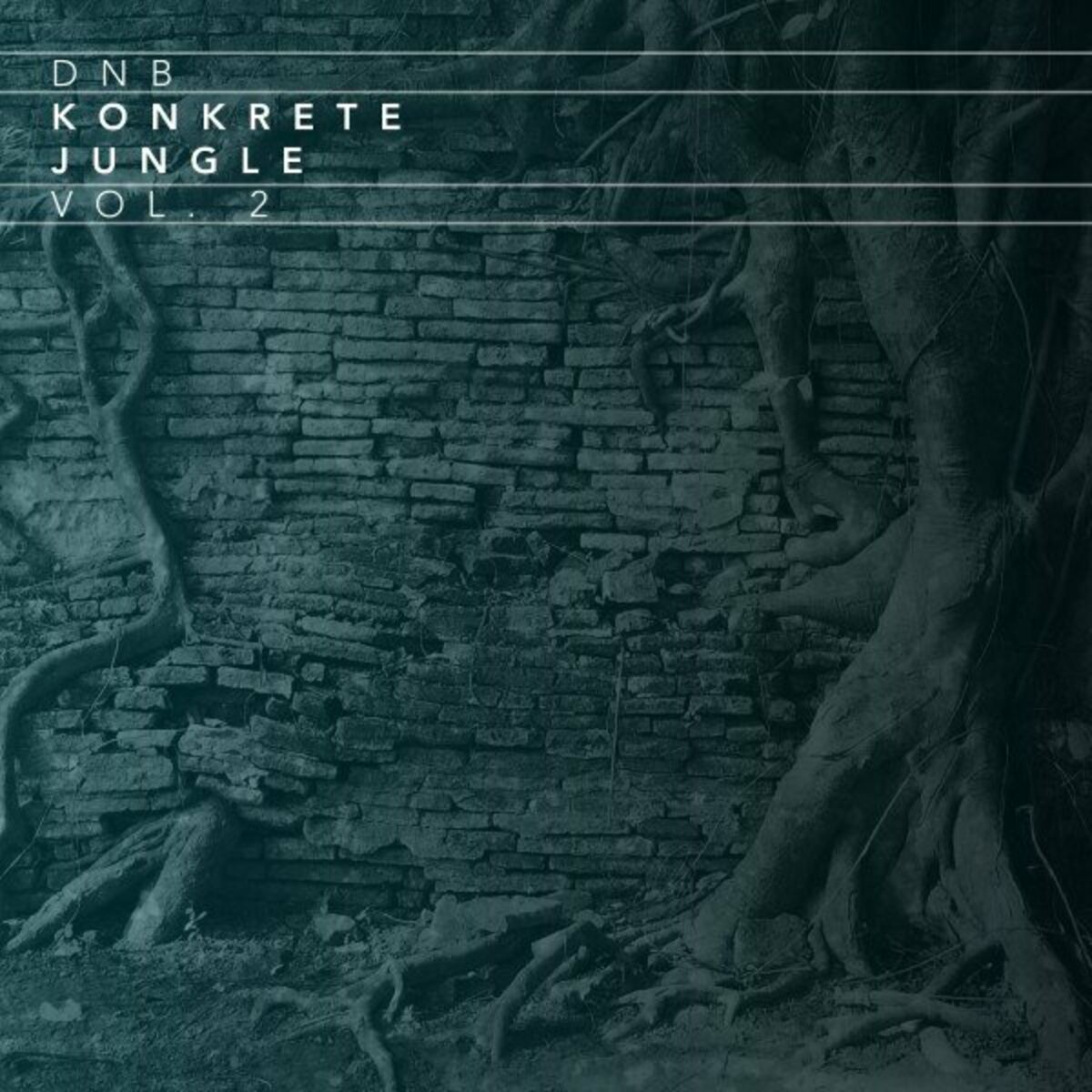 Album cover of Dnb Konkrete Jungle, Vol. 2
