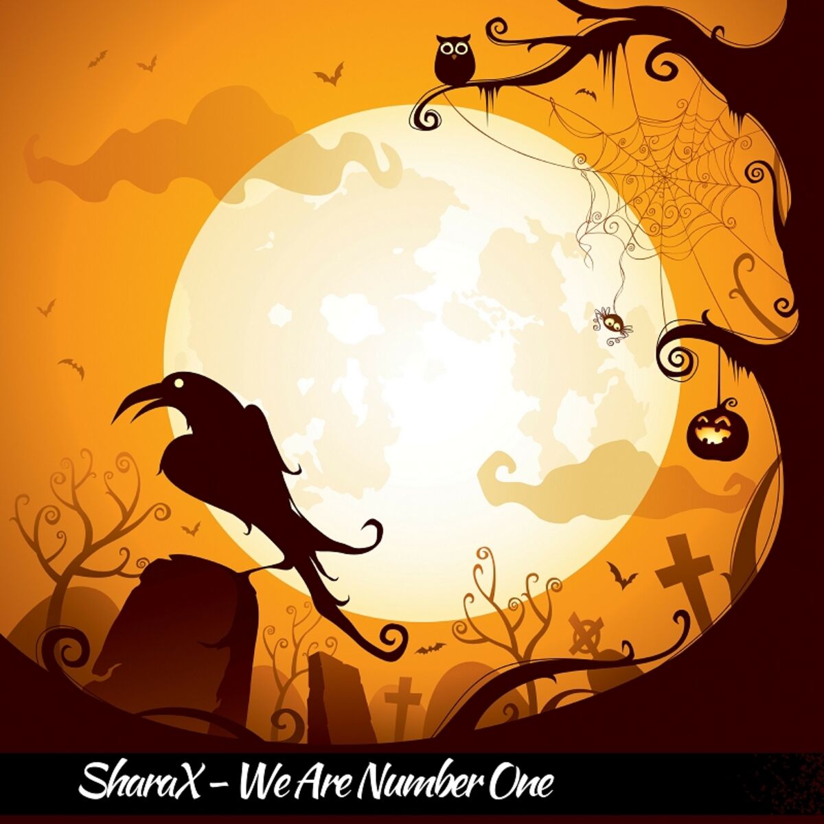 Album cover of We Are Number One
