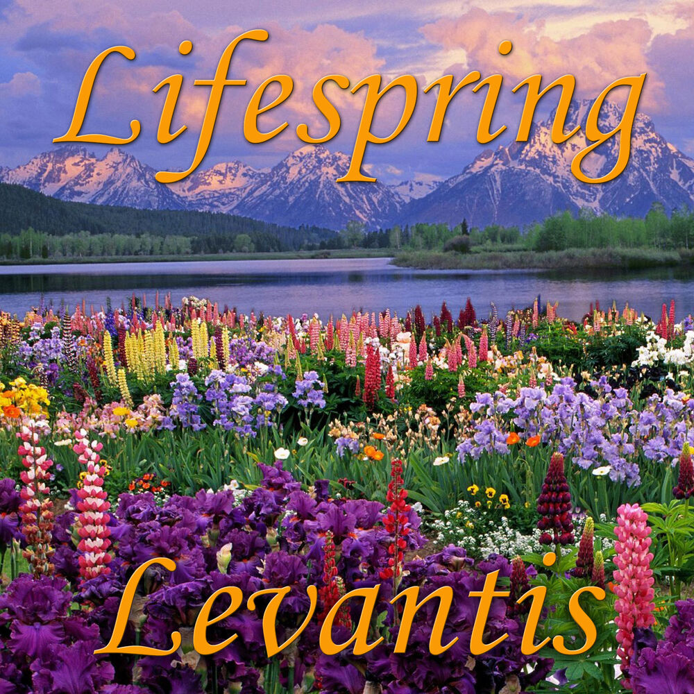 Picture of Lifespring