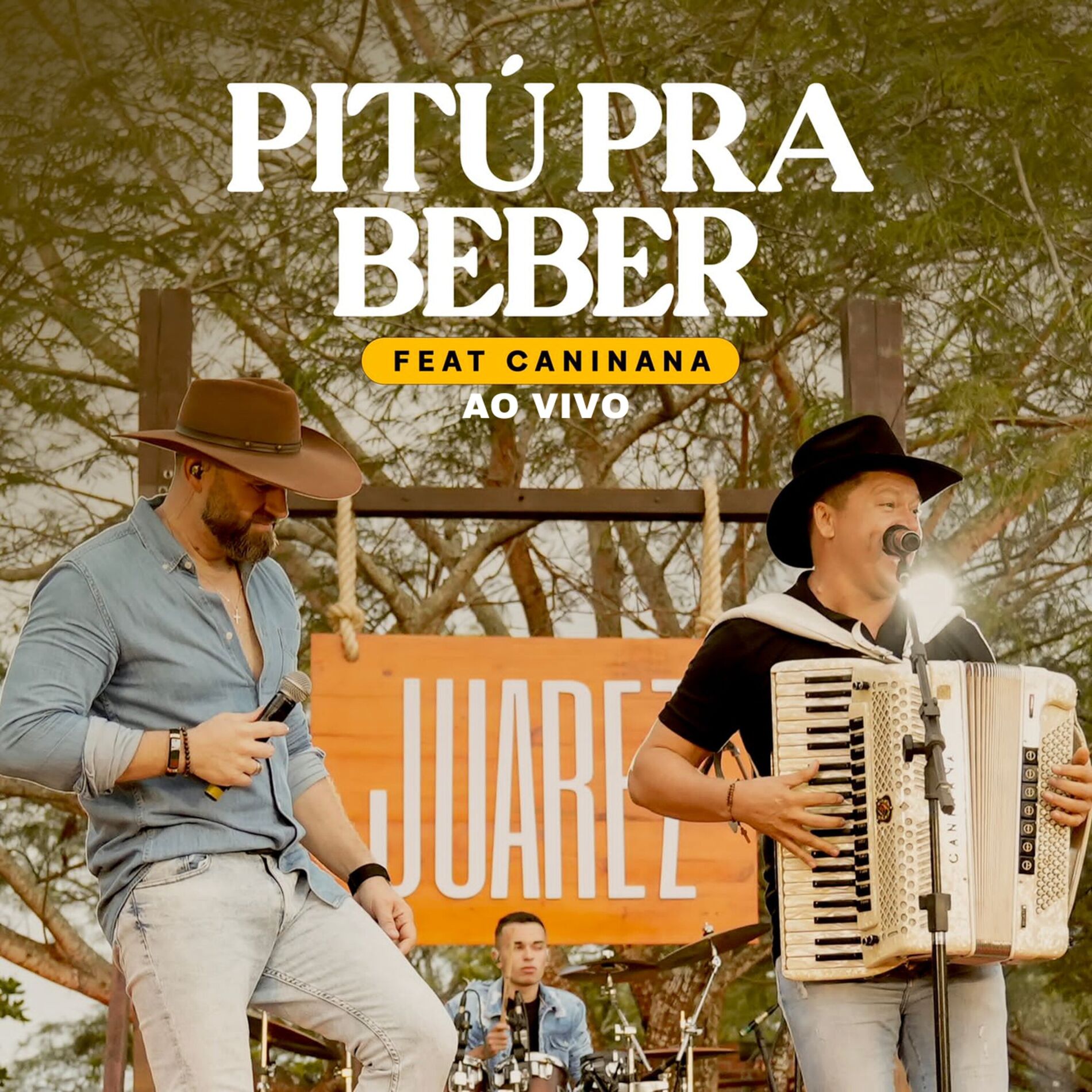 Album cover of Pitú pra Beber (feat. Caninana) (Ao Vivo)