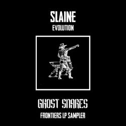 Cover of Evolution / Negative (Frontiers LP Sampler)