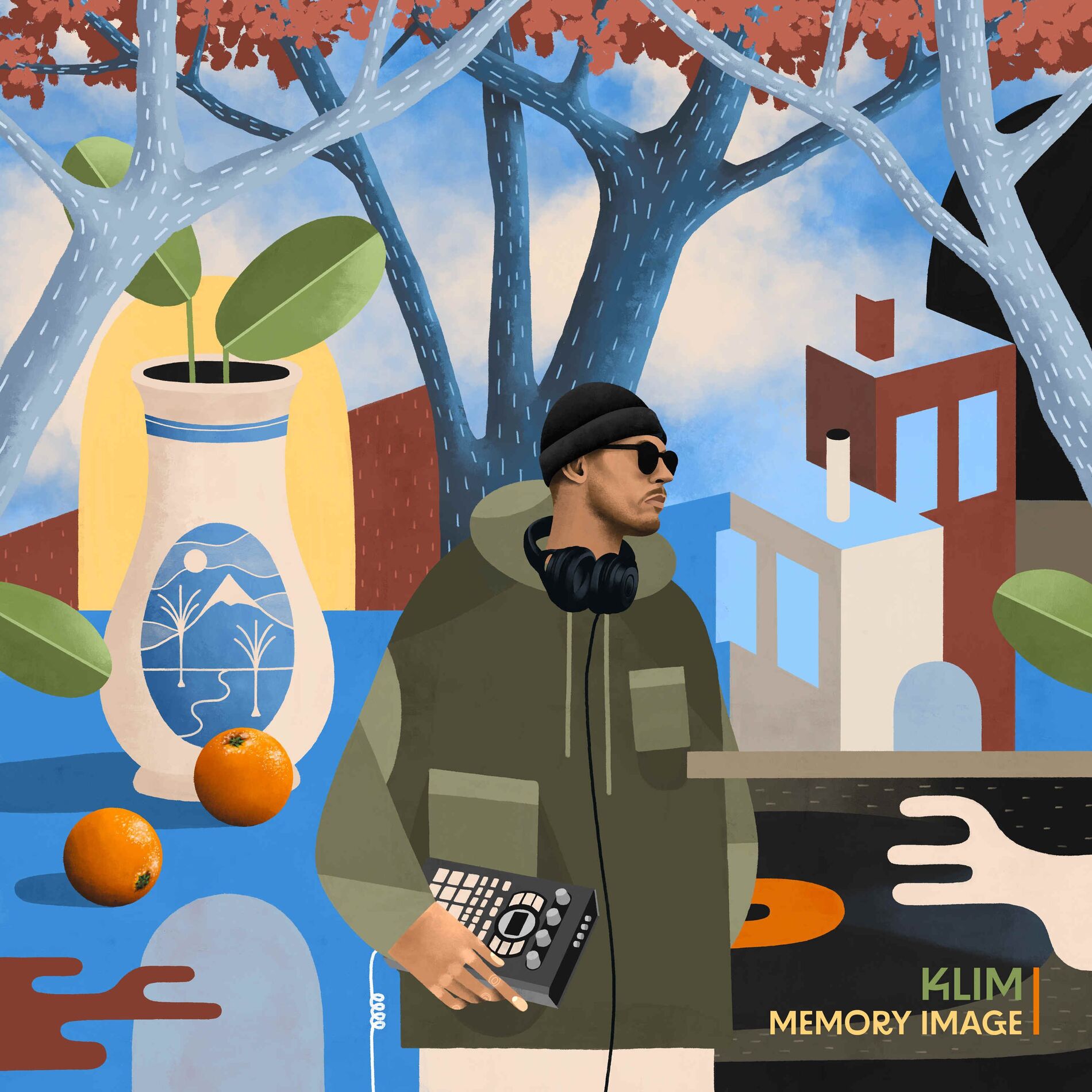 Album cover of Memory Image