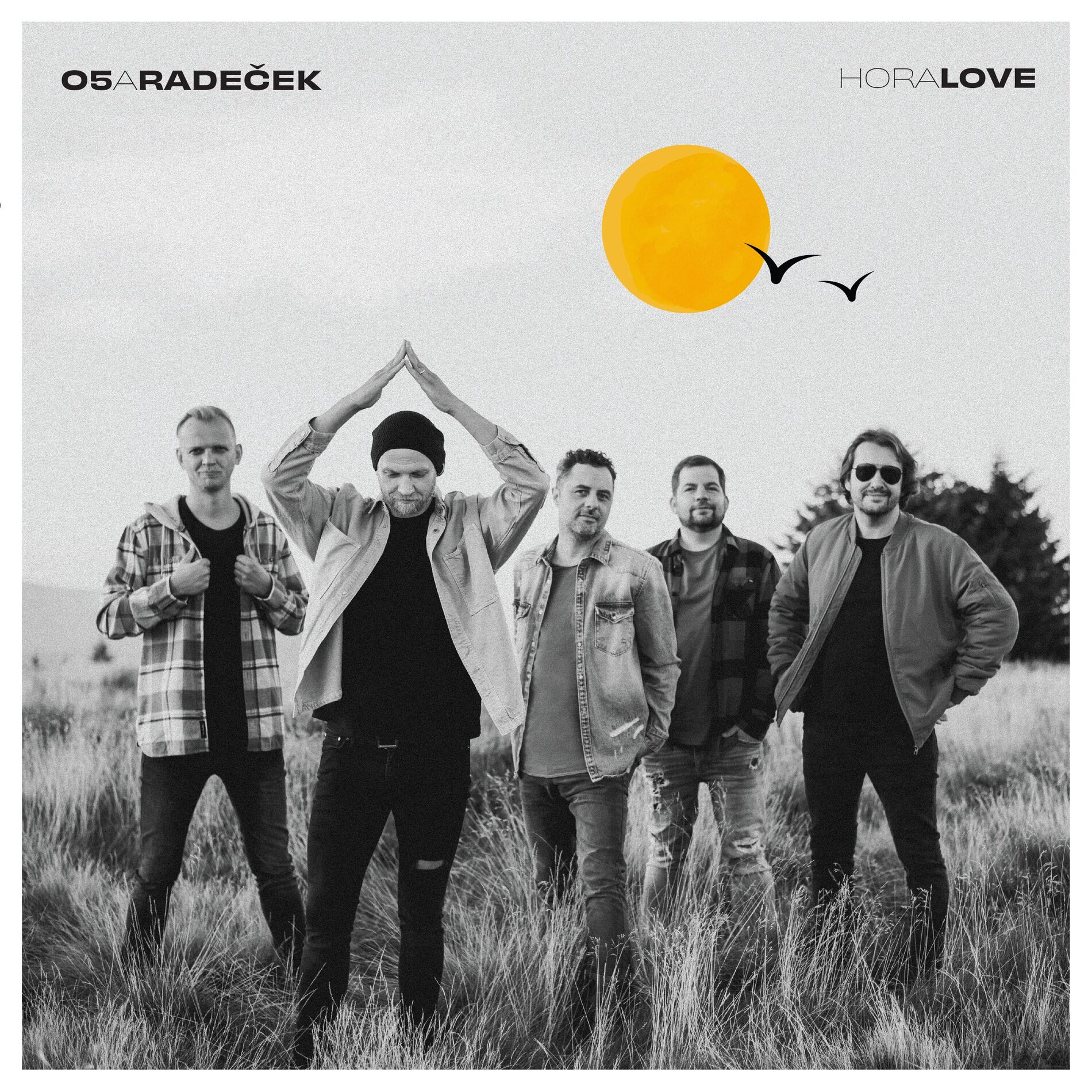 Album cover of HoraLove