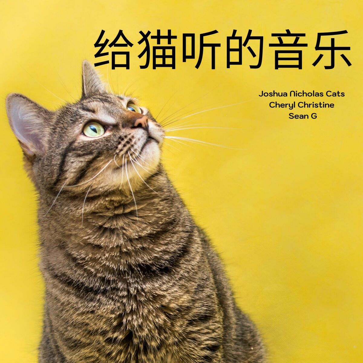 Album cover of 给猫听的音乐