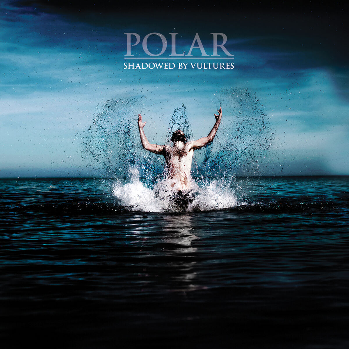 Album cover of Shadowed by Vultures
