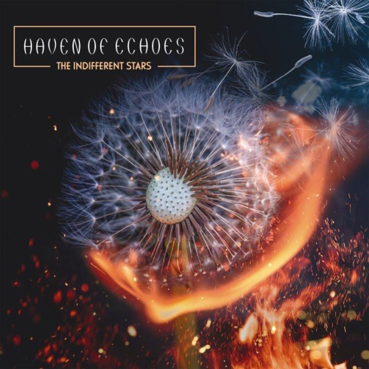 Album cover of The Indifferent Stars