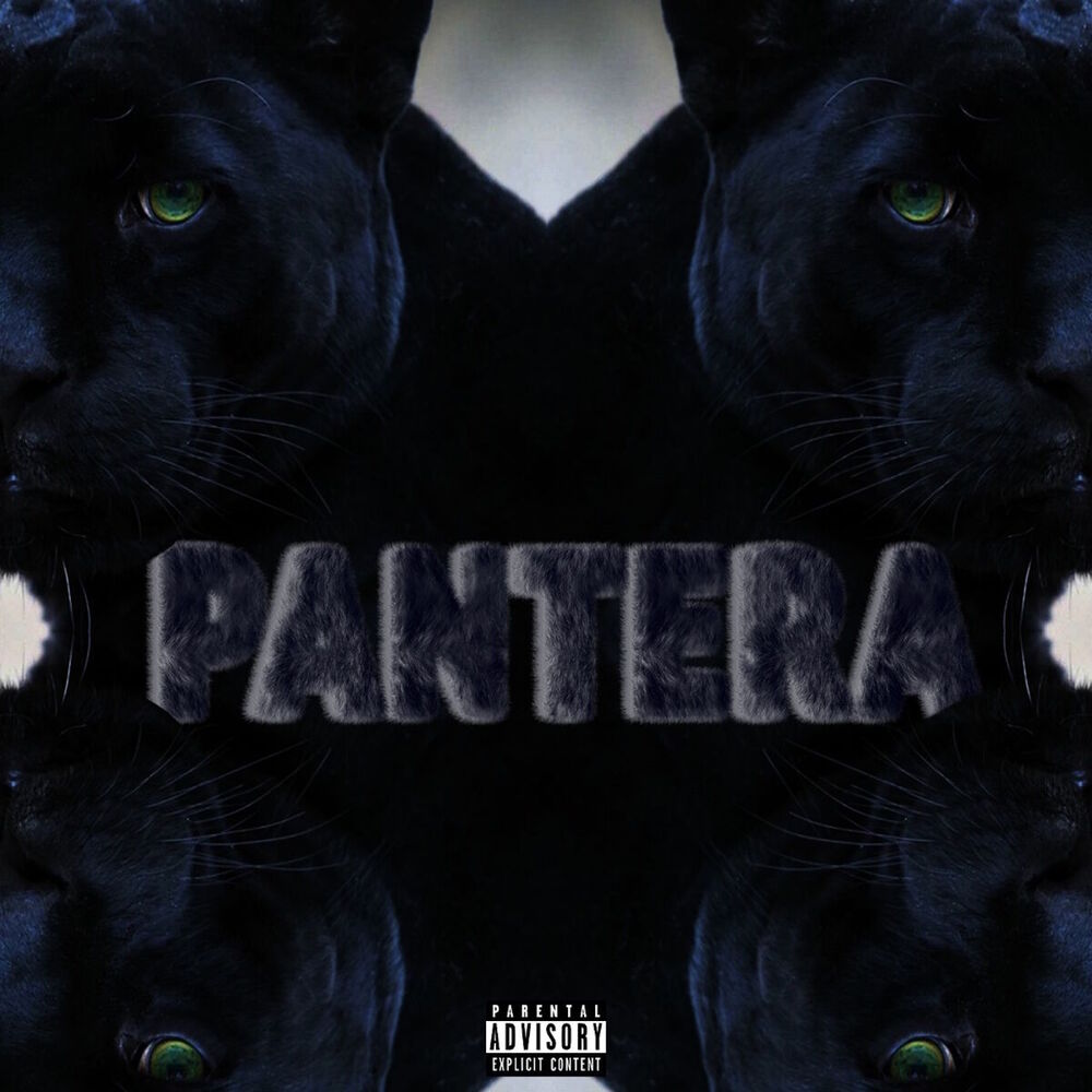 Picture of Pantera
