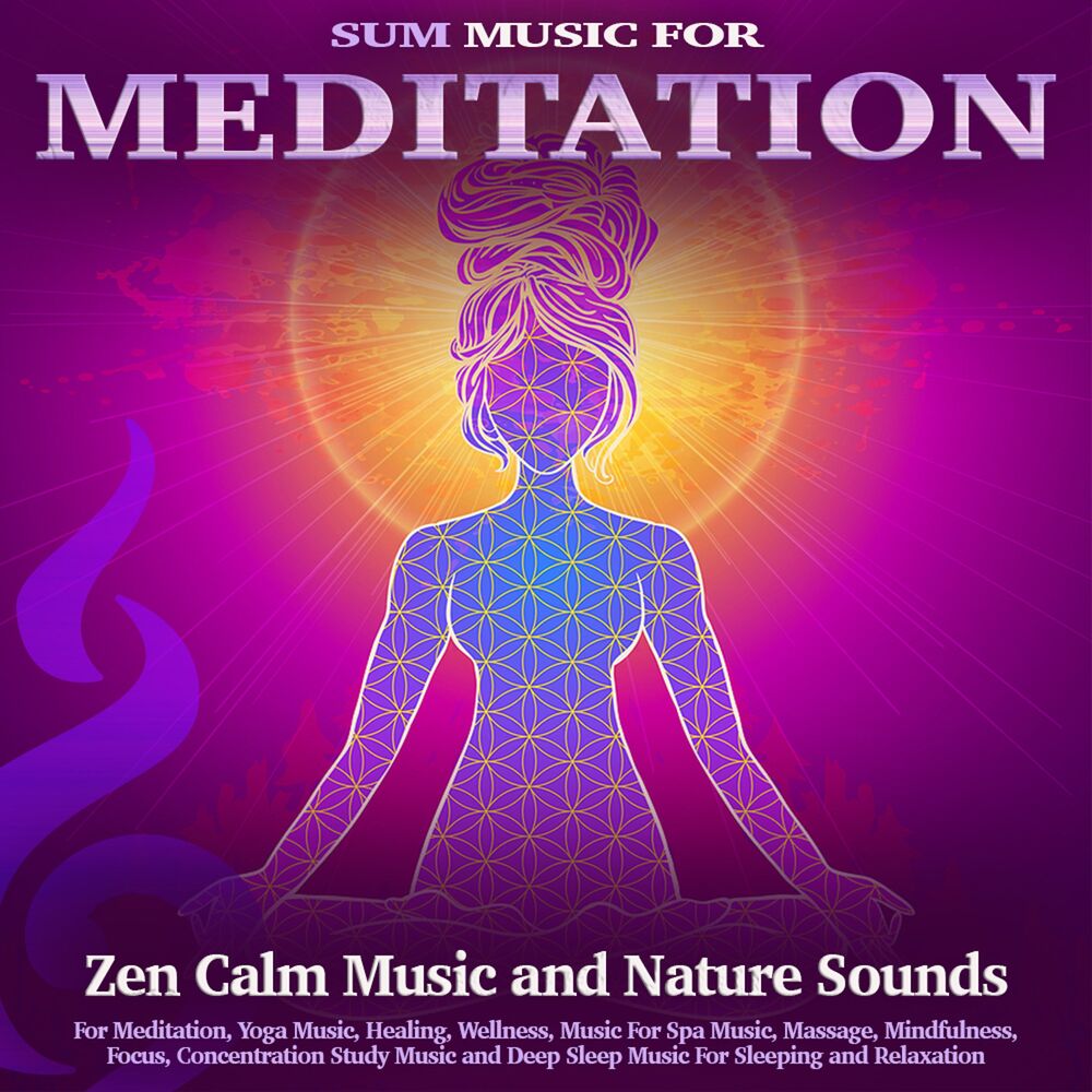 Picture of Meditation: Zen Calm Music and Nature Sounds For Meditation, Yoga Music, Healing, Wellness, Music For Spa Music, Massage, Mindfuln