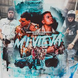 Cover of Mi Vieja