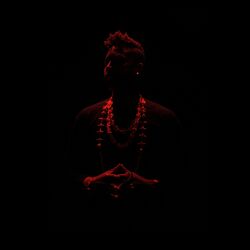 Cover of Diaspora