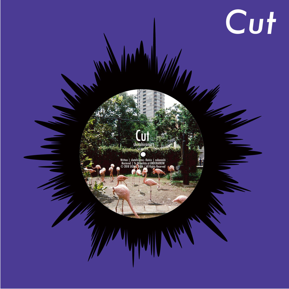 Picture of Cut