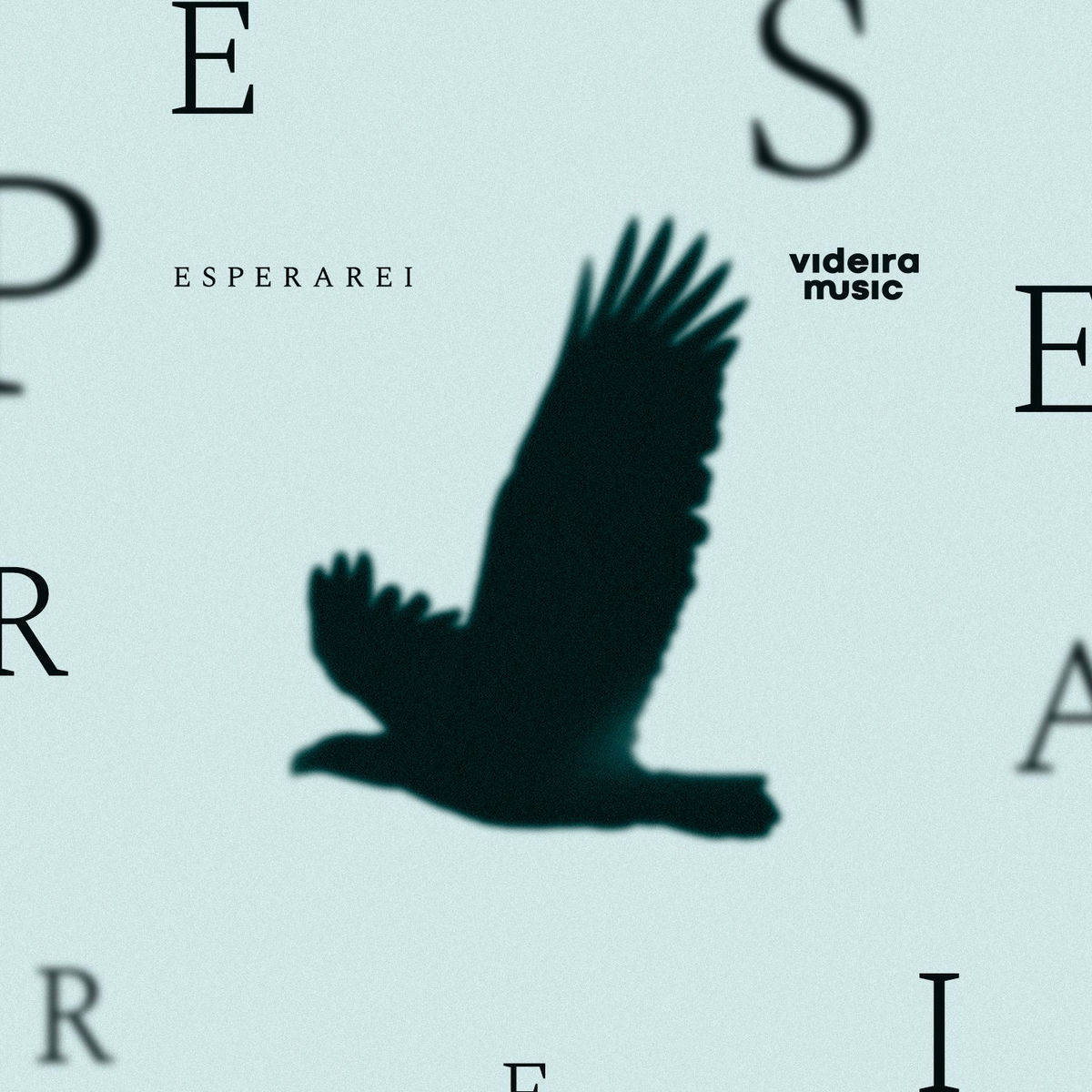 Album cover of Esperarei