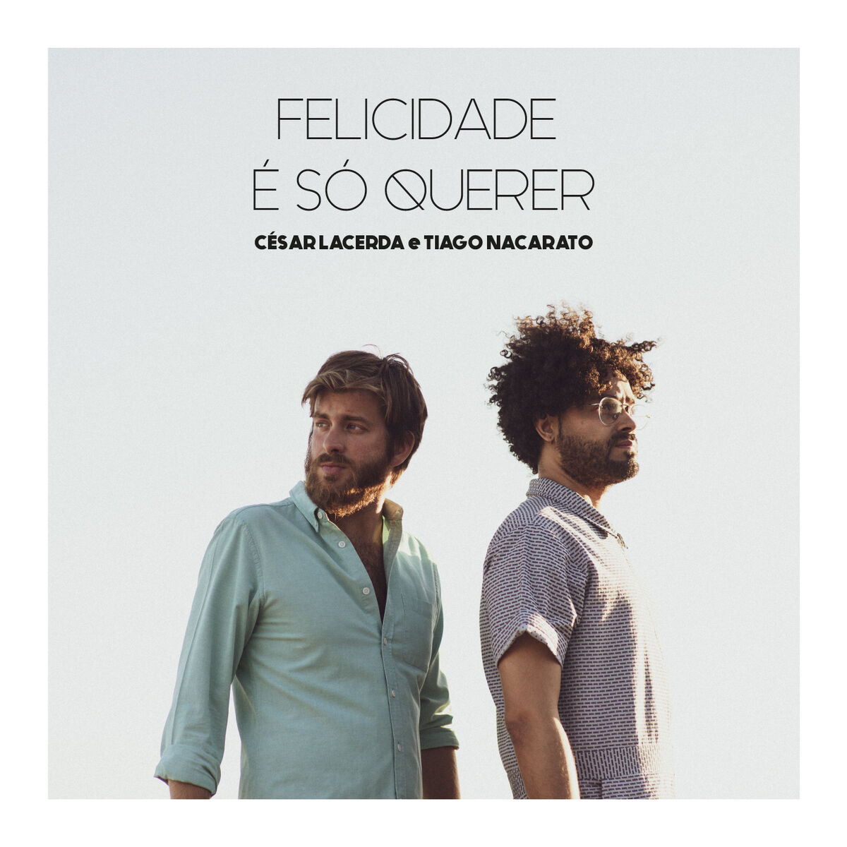 Album cover of Felicidade É Só Querer