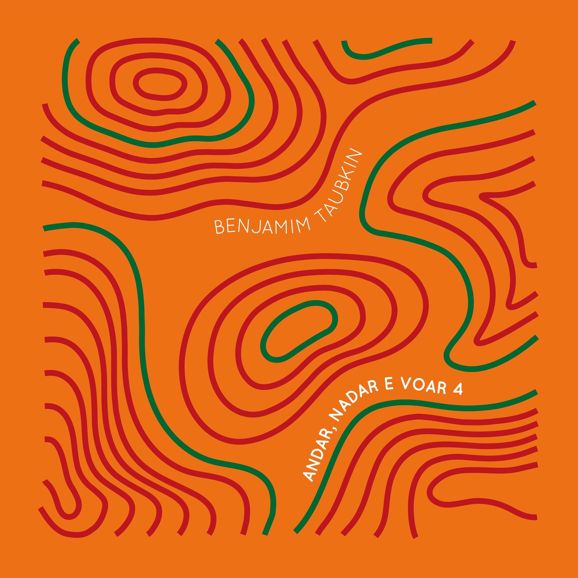 Album cover of Andar, Nadar e Voar 4