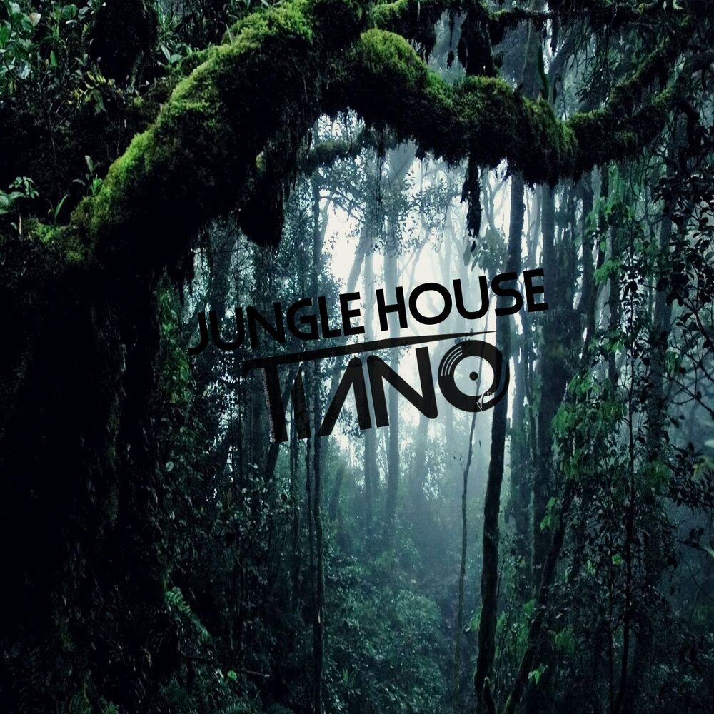 Picture of Jungle House