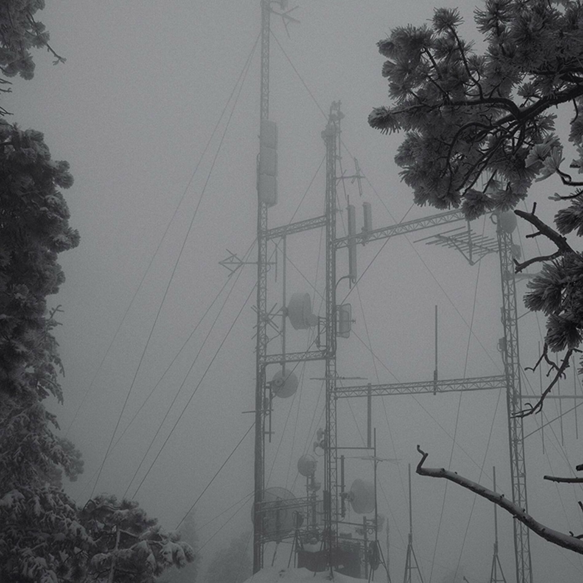 Album cover of On Hold