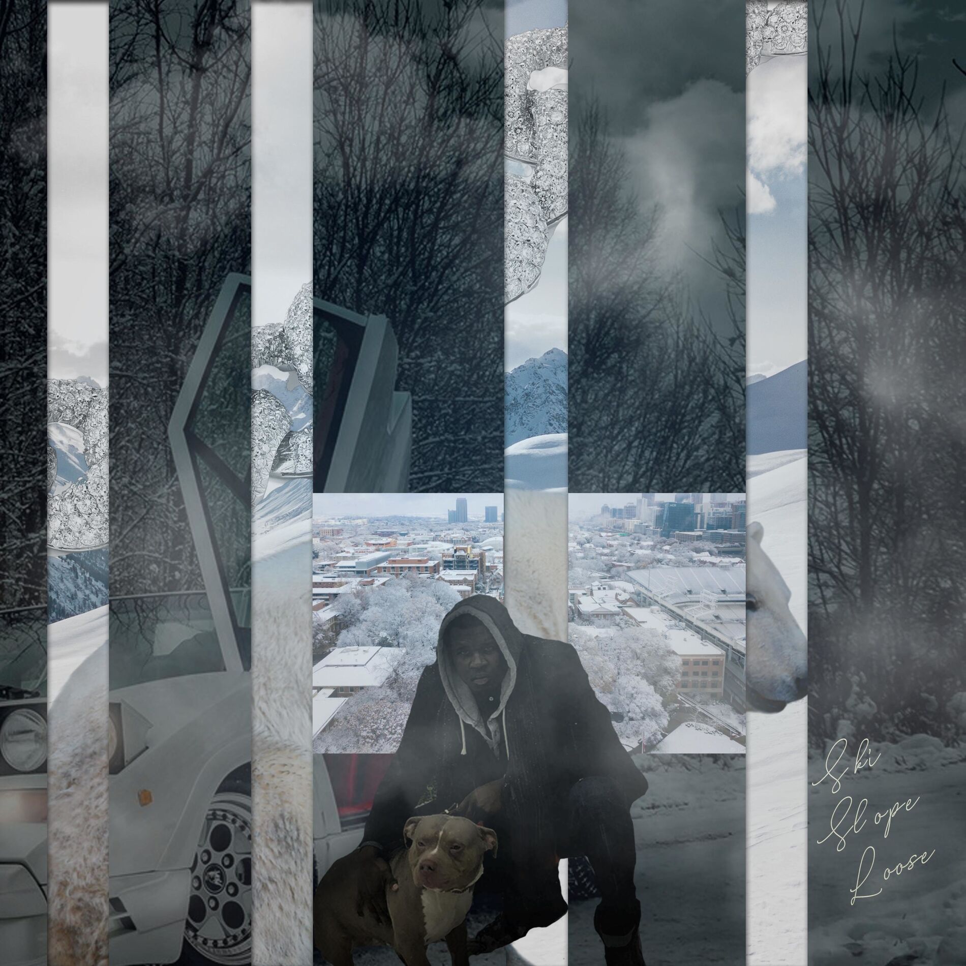 Album cover of Ski Slope Loose