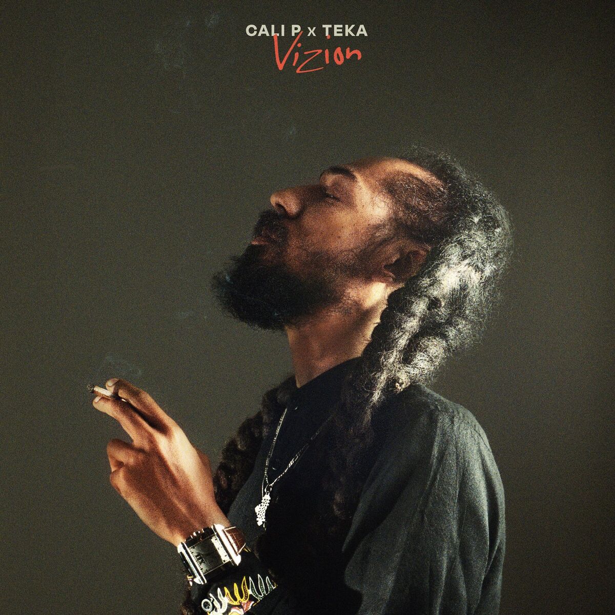 Album cover of Vizion
