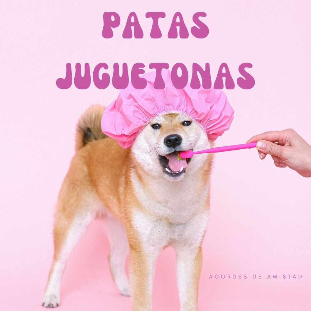 Picture of Patas Juguetonas: Acordes De Amistad