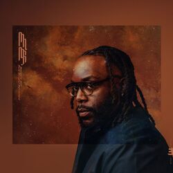 Cover of New Gospel (Live)