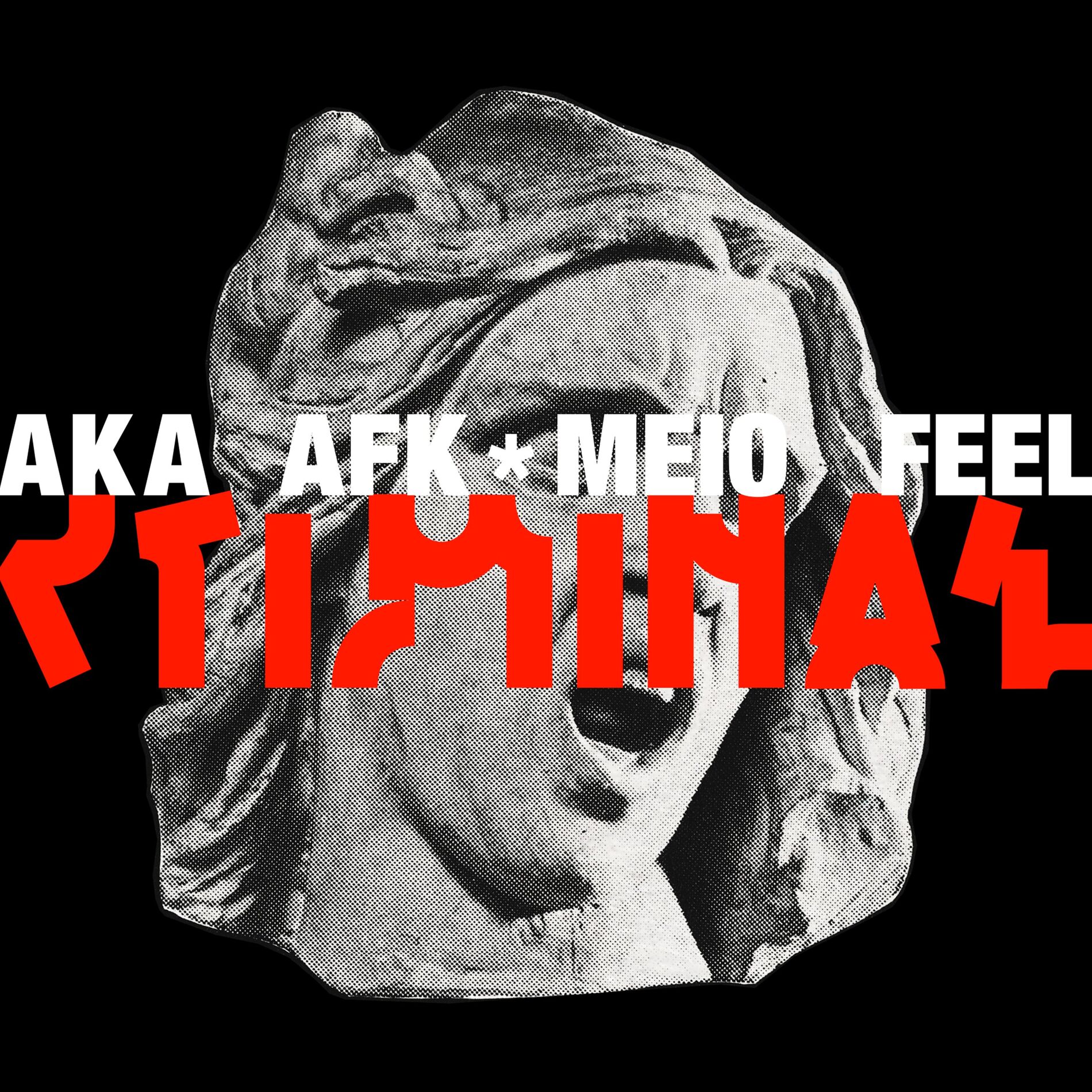 Album cover of Criminal