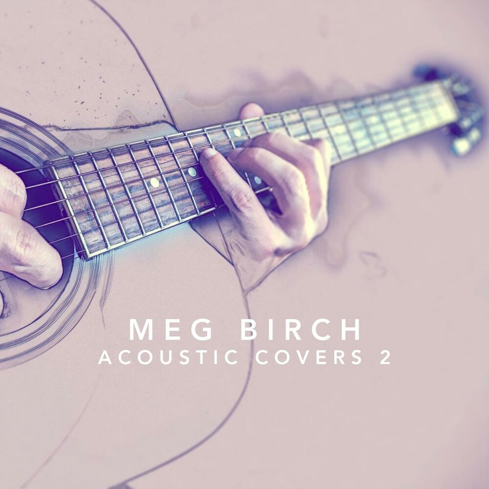 Picture of Acoustic Covers 2