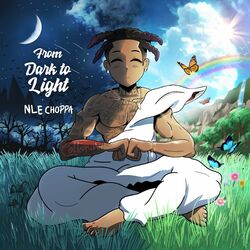 Cover of From Dark to Light