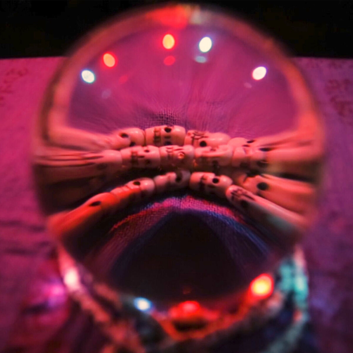 Album cover of Salve Serpiente