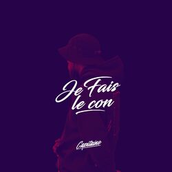 Cover of Je fais le con
