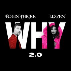 Cover of Why 2.0