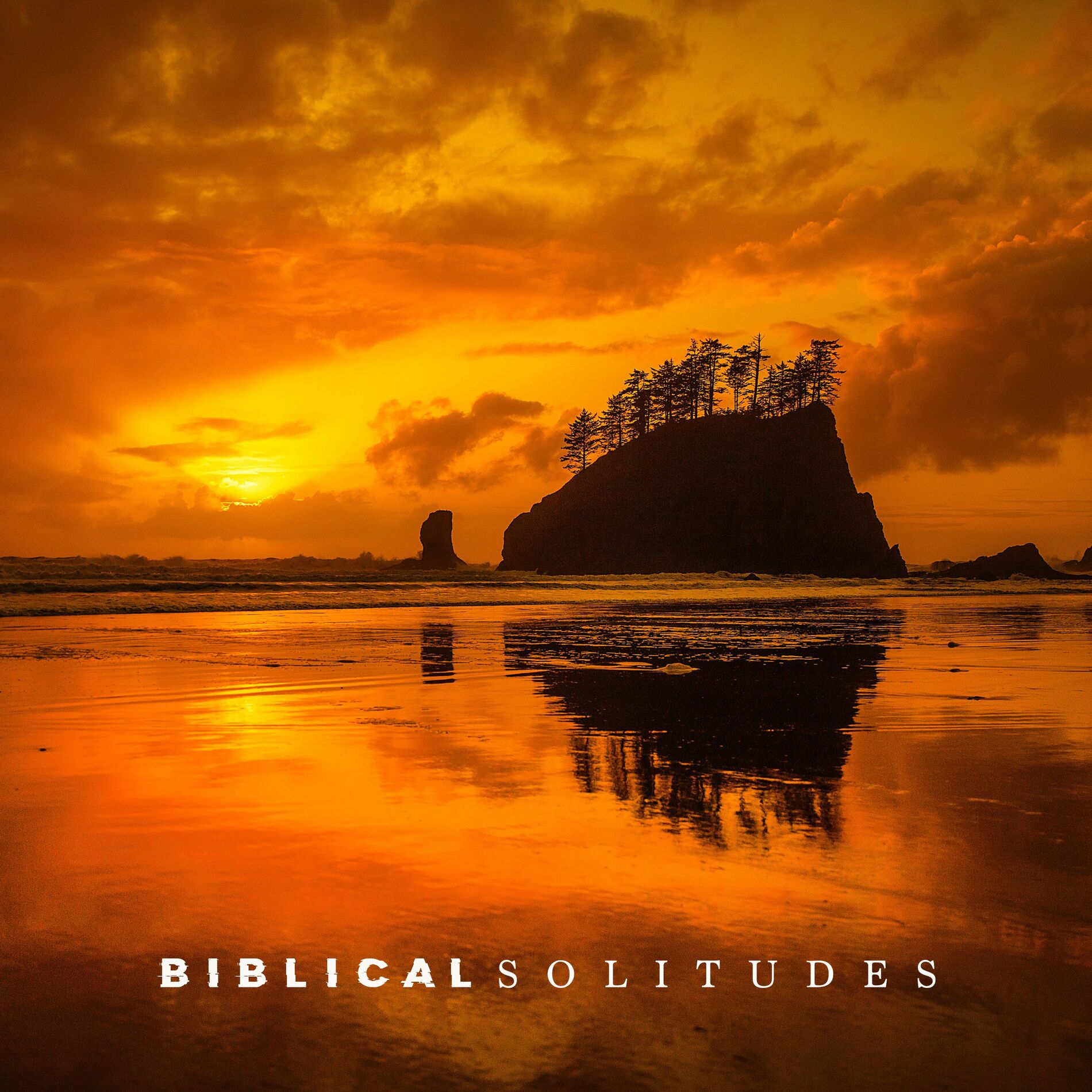Album cover of Biblical