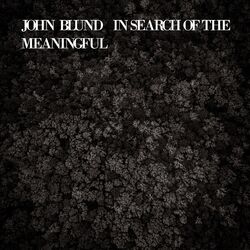 Cover of In Search of The Meaningful