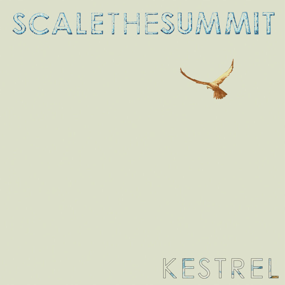 Picture of Kestrel