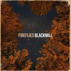 Cover of Fireflies