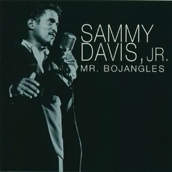 Cover of Mr. Bojangles